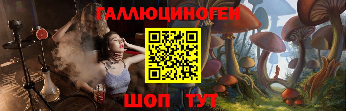 Галлюциногенные грибы Psilocybe  Псилоцибиновые грибы GOLDEN TEACHER  Темрюк  Вход с VPN 